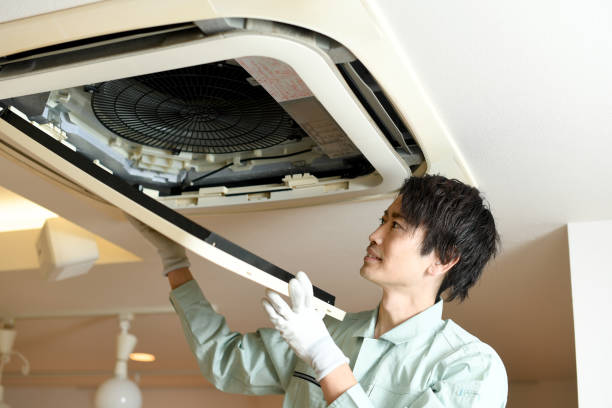 Best Affordable Air Duct Cleaning  in Patterson, LA